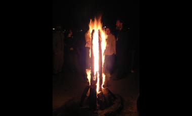 swedish fire .alt.2
